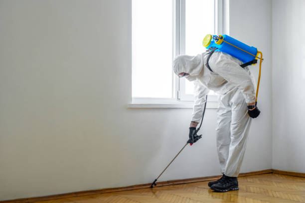 Best Pest Control for Warehouses  in Chalfont, PA